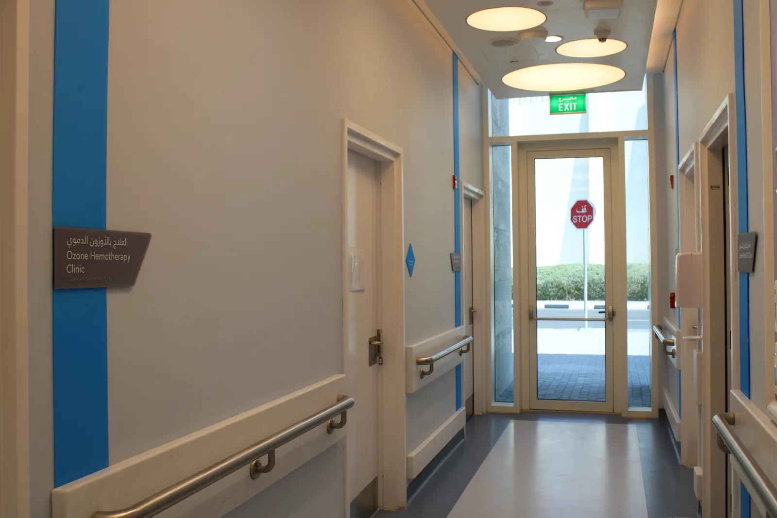 ISF Health Center Kompleks Tabela Tasarımı ve Uygulaması